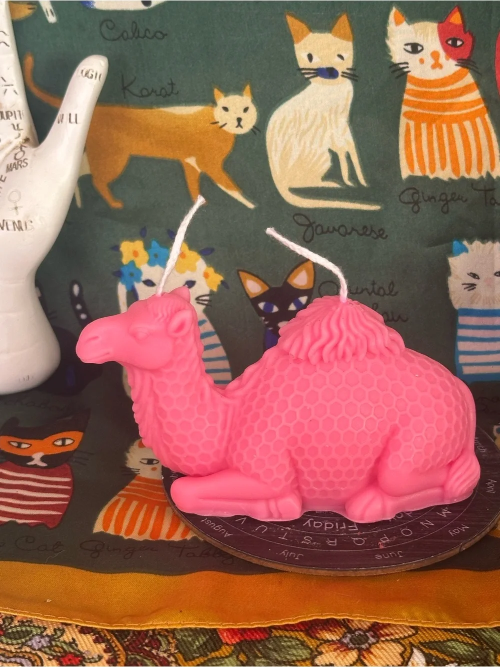 Cosmic camel candle